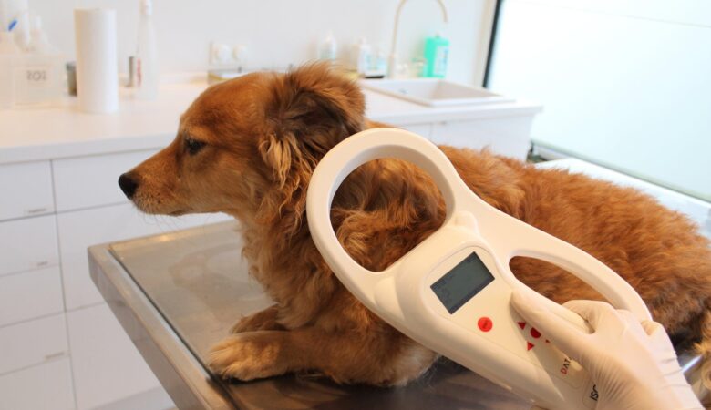 Microchips for Pets